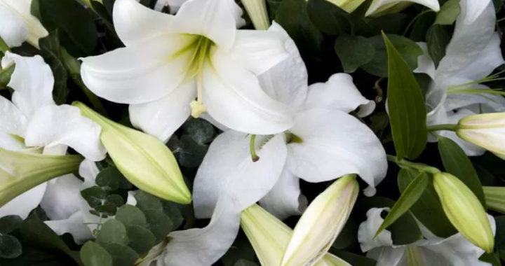 ¿Cuáles son los mejores arreglos florales para los momentos de luto?