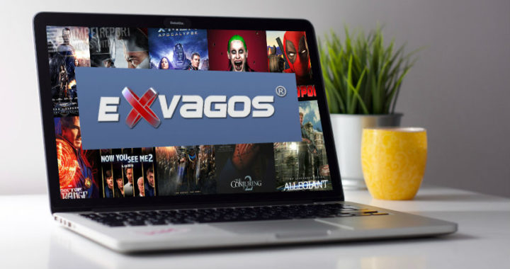 Exvagos no funciona. ¿Qué alternativas hay en la actualidad?