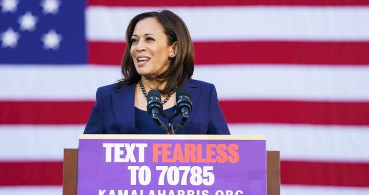 Kamala Harris sube en las encuestas para las primarias demócratas de Estados Unidos