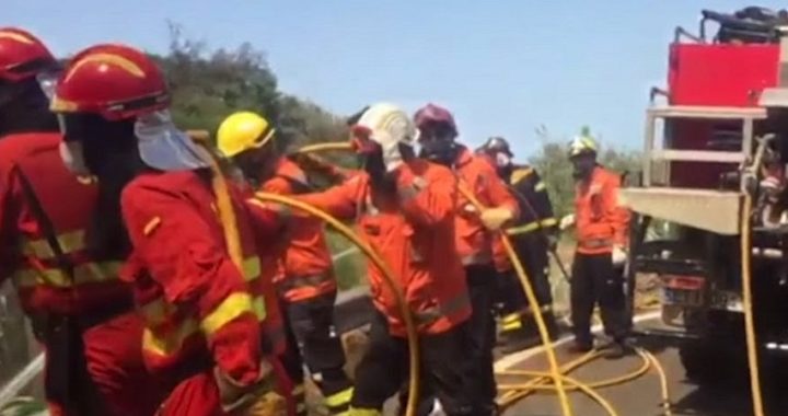 El incendio de Gran Canaria arrasa más de 10.000 hectáreas y obliga a evacuar a 9.000 personas