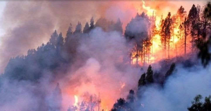 Crece la preocupación por el increíble número de incendios en el Amazonas