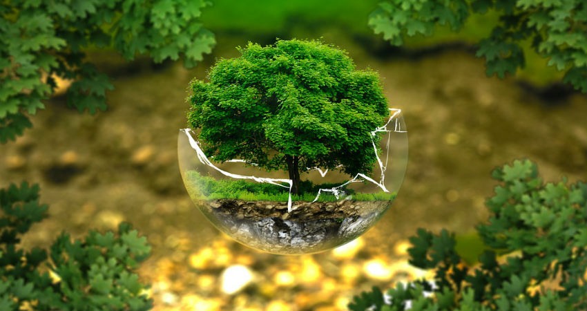 La sostenibilidad con el medioambiente