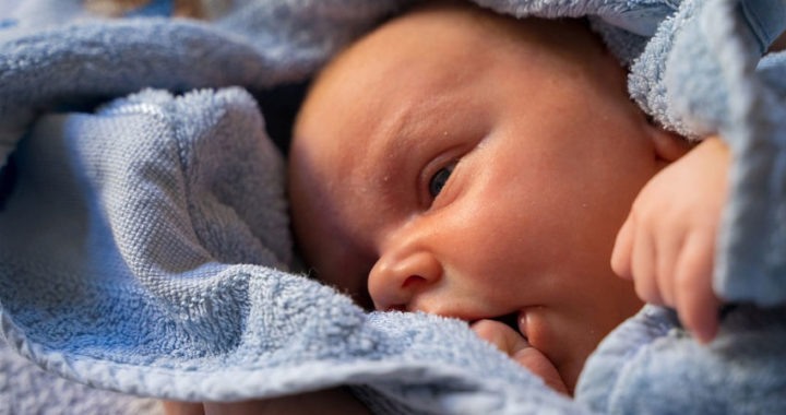 Bebés reborn: calidad y realismo en verdaderas obras de arte