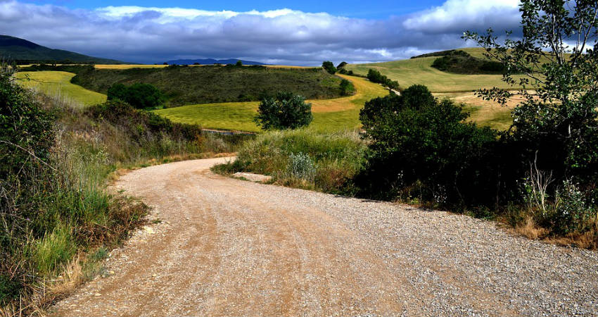 El Camino de Santiago