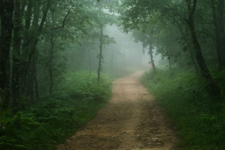 Galicia con El Camino de Santiago