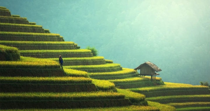 Asia, el continente más exótico