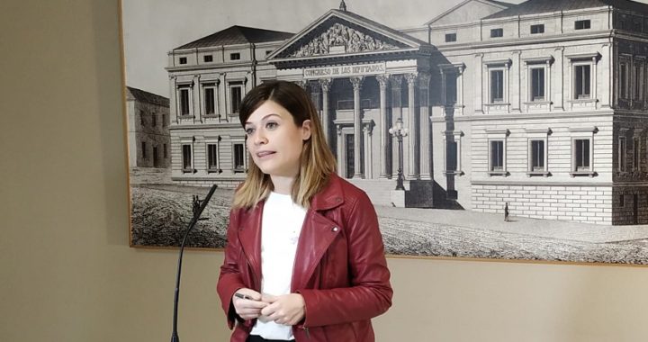 El Grupo Socialista denuncia que Vox bloquea dos declaraciones institucionales contra la violencia de género