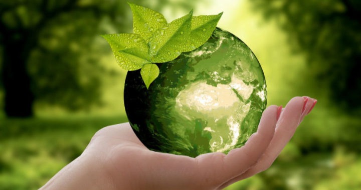 La R más importante para contribuir al medio ambiente es el Reciclaje