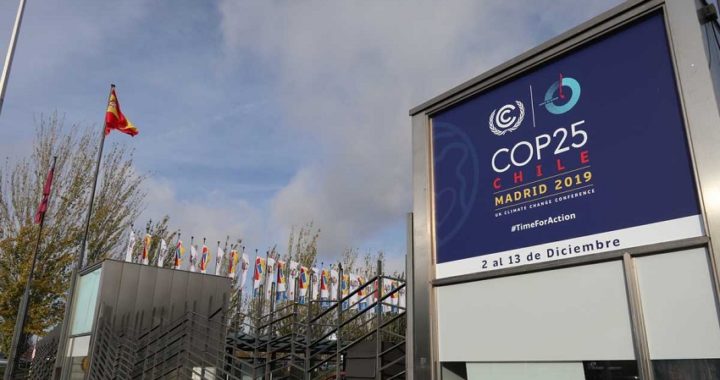 La cultura y el deporte español se suman a la Cumbre del Clima que acoge Madrid