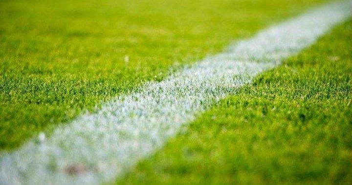 Césped artificial: una opción cada vez más popular en Málaga