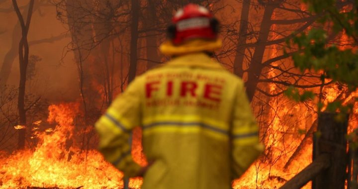 Ola de calor en Australia: se declara el estado de emergencia de siete días por la crisis de incendios forestales