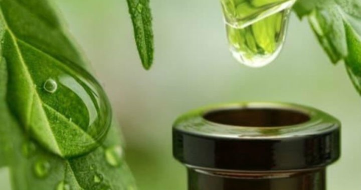 El aceite de CBD y su alto poder curativo