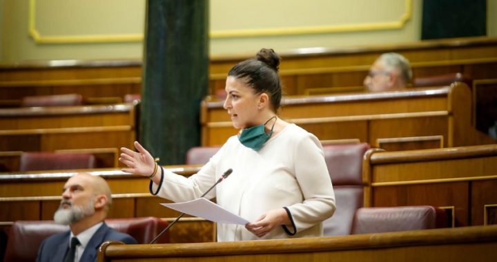 VOX solicita al Congreso que declare hábiles para la cámara los meses de julio y agosto