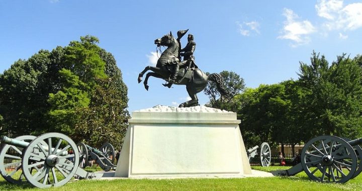 Los manifestantes intentan derribar la estatua del ex presidente Andrew Jackson