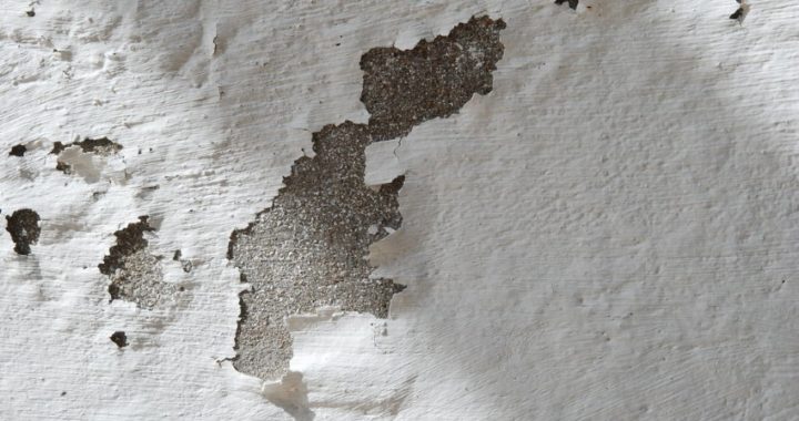 Cómo tratar las humedades y el moho en el hogar