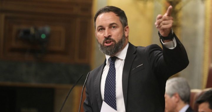 Abascal: ‘Esta moción no es una estrategia, es una demostración de que hay oposición’