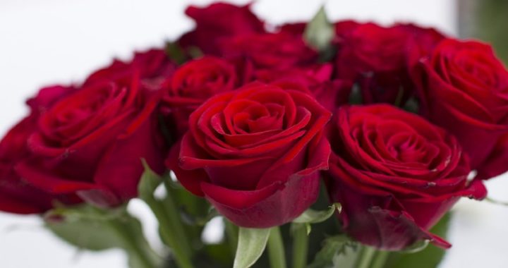 Consejos para mantener un ramo de rosas más tiempo