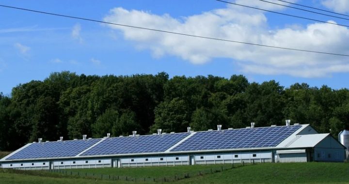 Kits solares, claves para el autoconsumo eléctrico