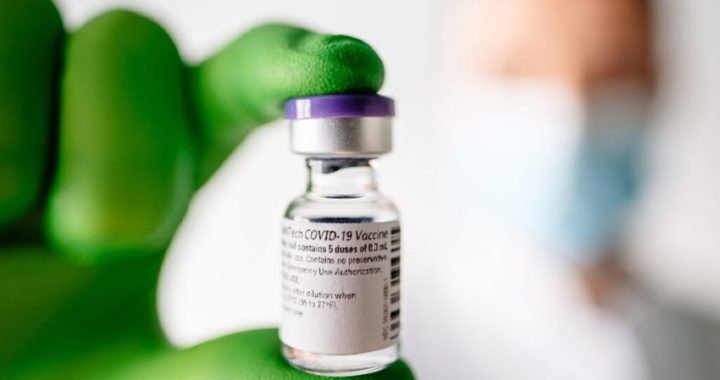 Pfizer se une a la iniciativa de la OMS para distribuir vacunas COVID-19 en todo el mundo