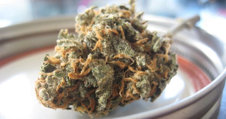 La flor del cáñamo: Efectos medicinales sin THC