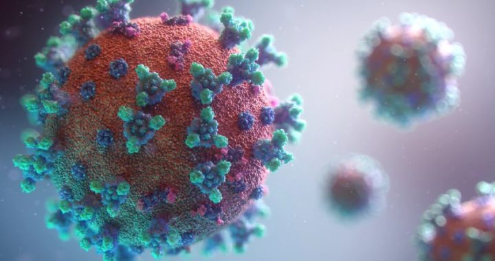 La pandemia de COVID-19, en la encrucijada entre las vacunas y las variantes
