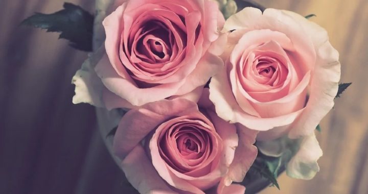5 ideas de regalos de lujo para el aniversario de boda