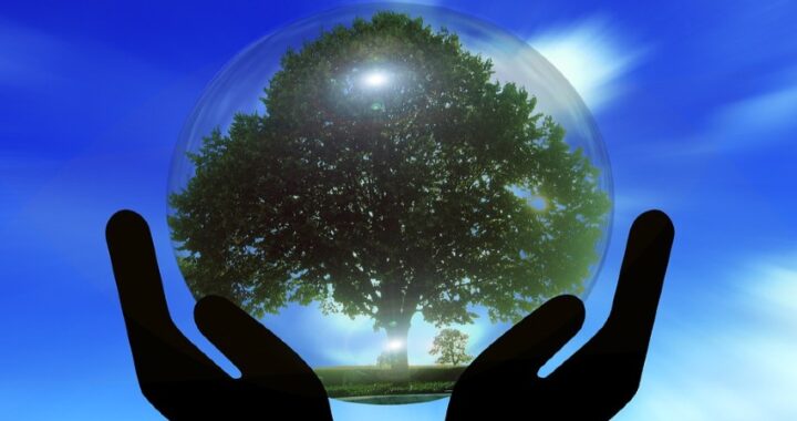 ¿Cómo evitar el cambio climático?