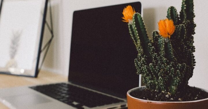 Consejos y recomendaciones para teletrabajar desde casa