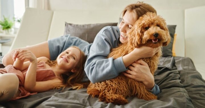 Consejos para elegir la mascota adecuada para tu familia