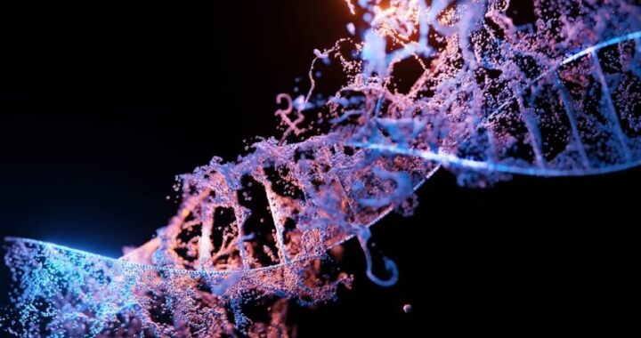 La mejor opción para el estudio de ADN y genética