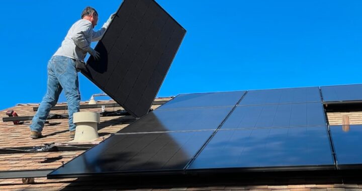 Los sistemas anti pájaros y la protección de los paneles solares