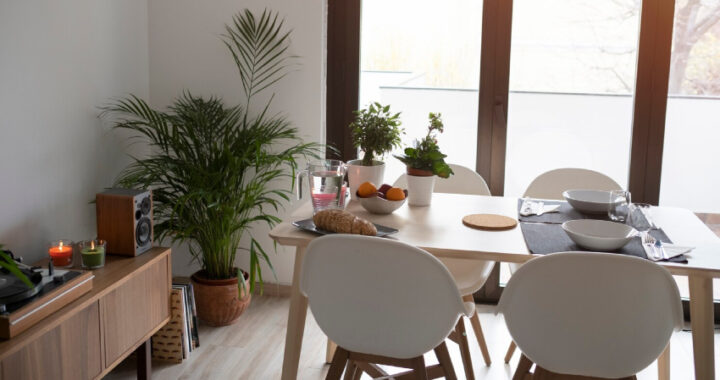 Qué tener en cuenta antes de comprar un juego de comedor