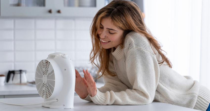 Ventilador